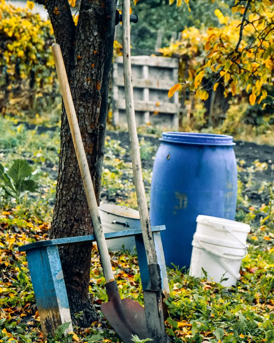 Rudens sodas su vandens statine ir kibiru