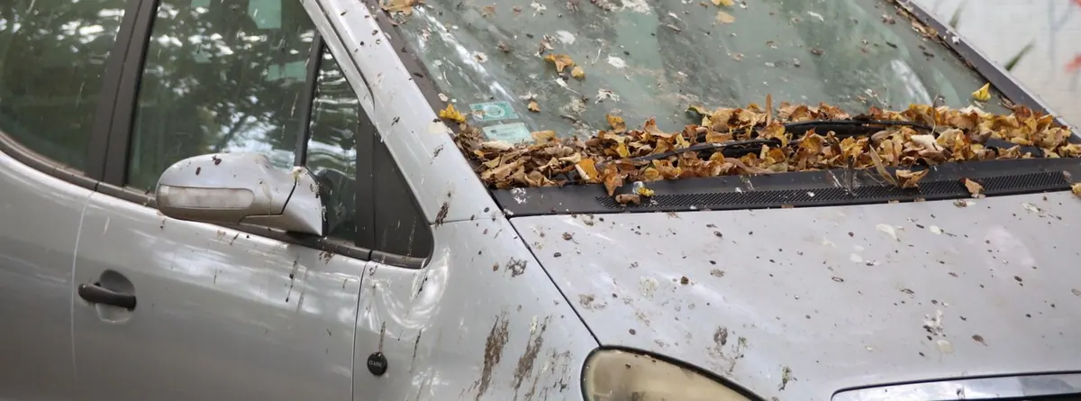Purvinas automobilis su rudens lapais